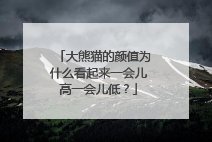 大熊猫的颜值为什么看起来一会儿高一会儿低？