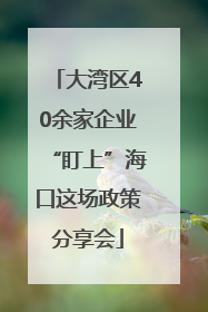 大湾区40余家企业“盯上”海口这场政策分享会