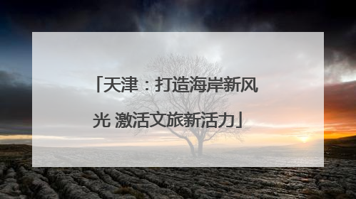 天津：打造海岸新风光 激活文旅新活力