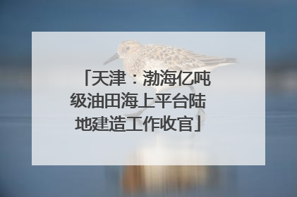 天津：渤海亿吨级油田海上平台陆地建造工作收官