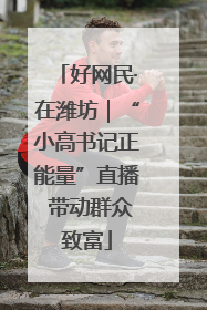 好网民·在潍坊｜“小高书记正能量”直播 带动群众致富