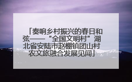 奏响乡村振兴的春日和弦——“全国文明村”湖北省安陆市赵棚镇团山村农文旅融合发展见闻