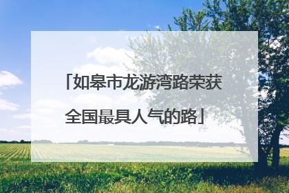 如皋市龙游湾路荣获全国最具人气的路
