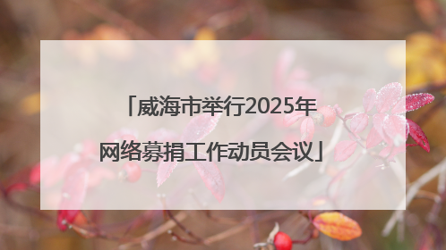 威海市举行2025年网络募捐工作动员会议