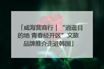 威海营商行｜“逍遥目的地 青春经开区”文旅品牌推介走进韩国
