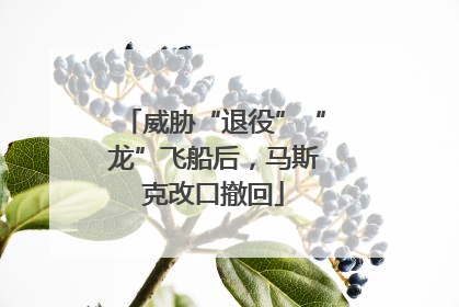 威胁“退役”“龙”飞船后，马斯克改口撤回