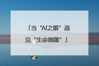 当“AI之眼”遇见“生命微雕”