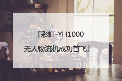 彩虹-YH1000无人物流机成功首飞