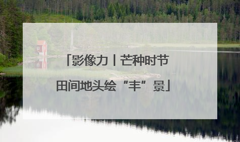 影像力丨芒种时节 田间地头绘“丰”景