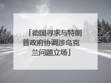 德国寻求与特朗普政府协调涉乌克兰问题立场