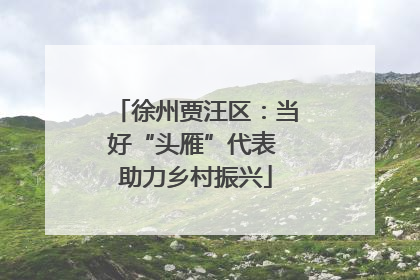 徐州贾汪区：当好“头雁”代表 助力乡村振兴