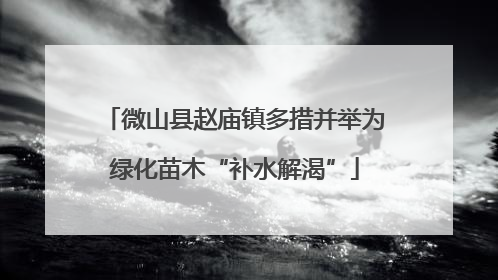 微山县赵庙镇多措并举为绿化苗木“补水解渴”