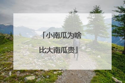 小南瓜为啥比大南瓜贵