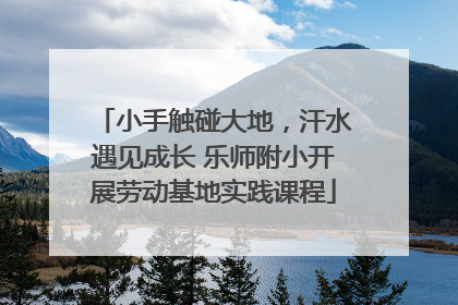 小手触碰大地，汗水遇见成长 乐师附小开展劳动基地实践课程