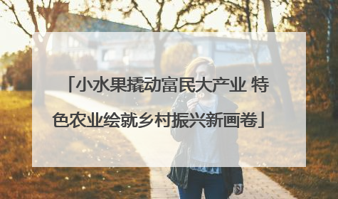小水果撬动富民大产业 特色农业绘就乡村振兴新画卷