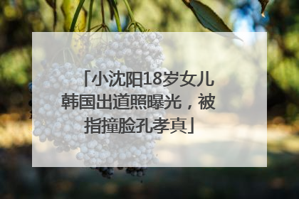 小沈阳18岁女儿韩国出道照曝光，被指撞脸孔孝真
