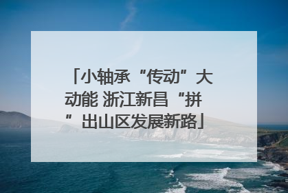 小轴承“传动”大动能 浙江新昌“拼”出山区发展新路