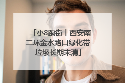 小8跑街丨西安南二环金水路口绿化带垃圾长期未清