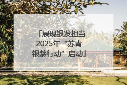展现银发担当 2025年“苏青银龄行动”启动