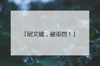 屠文斌，被重罚！