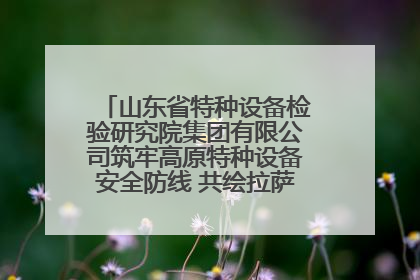 山东省特种设备检验研究院集团有限公司筑牢高原特种设备安全防线 共绘拉萨美好生活画卷