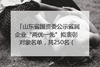 山东省国资委公示省属企业“两优一先”拟表彰对象名单，共250名（个）党员和党组织