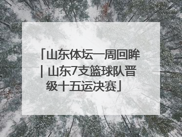 山东体坛一周回眸｜山东7支篮球队晋级十五运决赛