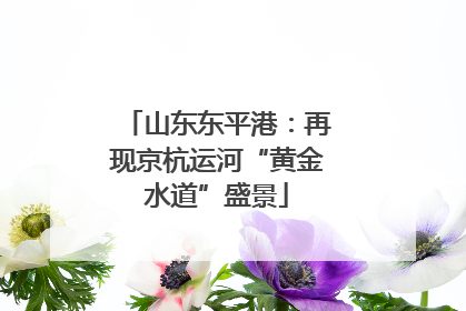 山东东平港：再现京杭运河“黄金水道”盛景