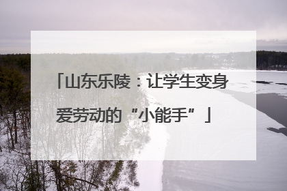 山东乐陵：让学生变身爱劳动的“小能手”