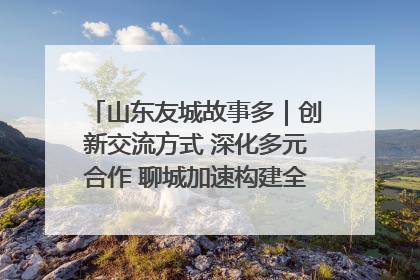 山东友城故事多｜创新交流方式 深化多元合作 聊城加速构建全球友城新格局