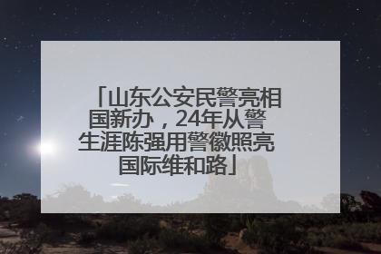 山东公安民警亮相国新办，24年从警生涯陈强用警徽照亮国际维和路