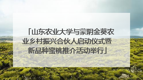 山东农业大学与蒙阴金葵农业乡村振兴合伙人启动仪式暨新品种蜜桃推介活动举行