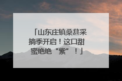 山东庄镇桑葚采摘季开启！这口甜蜜绝绝“紫”！