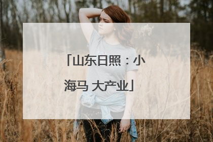 山东日照：小海马 大产业
