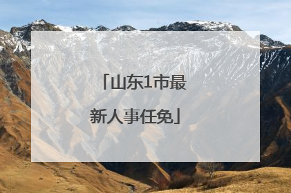 山东1市最新人事任免