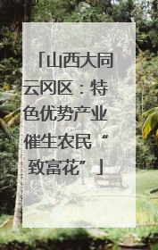 山西大同云冈区：特色优势产业催生农民“致富花”