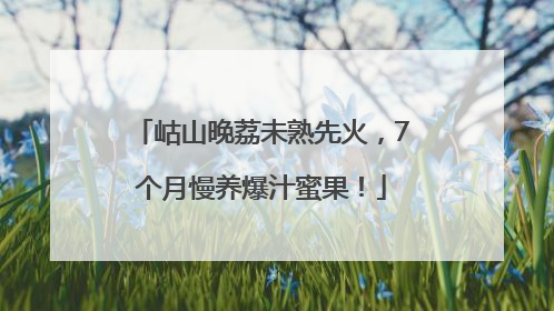 岵山晚荔未熟先火，7个月慢养爆汁蜜果！