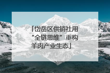 岱岳区供销社用“全链思维”重构羊肉产业生态