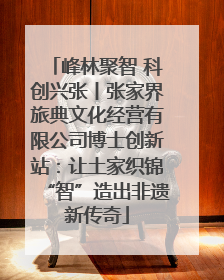 峰林聚智 科创兴张丨张家界旅典文化经营有限公司博士创新站：让土家织锦“智”造出非遗新传奇