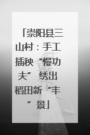 崇阳县三山村：手工插秧“慢功夫” 绣出稻田新“丰”景