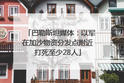 巴勒斯坦媒体：以军在加沙物资分发点附近打死至少28人