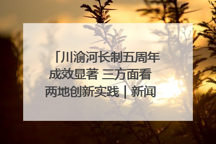 川渝河长制五周年成效显著 三方面看两地创新实践｜新闻发布最前线
