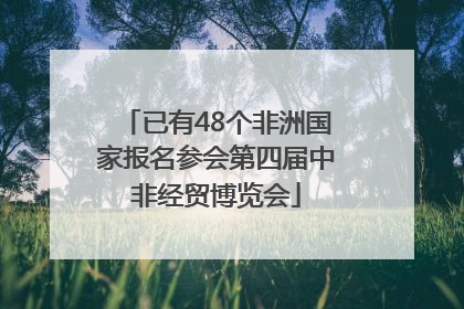 已有48个非洲国家报名参会第四届中非经贸博览会