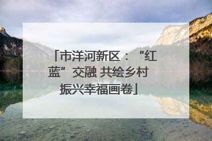 市洋河新区：“红蓝”交融 共绘乡村振兴幸福画卷
