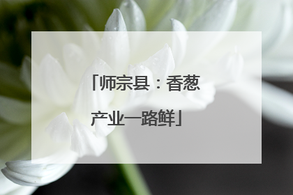 师宗县：香葱产业一路鲜