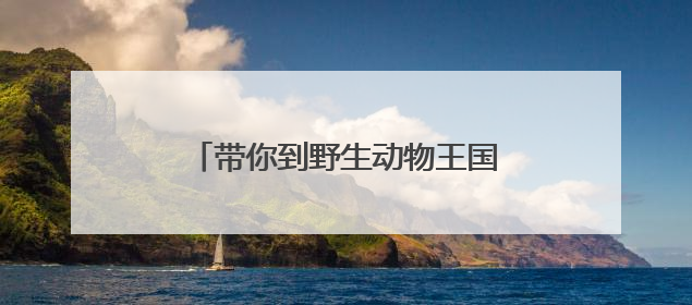 带你到野生动物王国揭秘鄂州人专属暗号