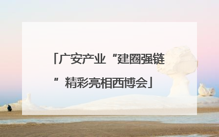 广安产业“建圈强链”精彩亮相西博会