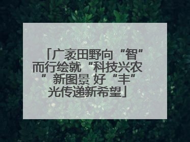 广袤田野向“智”而行绘就“科技兴农”新图景 好“丰”光传递新希望