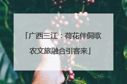 广西三江：荷花伴侗歌 农文旅融合引客来