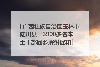 广西壮族自治区玉林市陆川县：3900多名本土干部回乡解纷促和